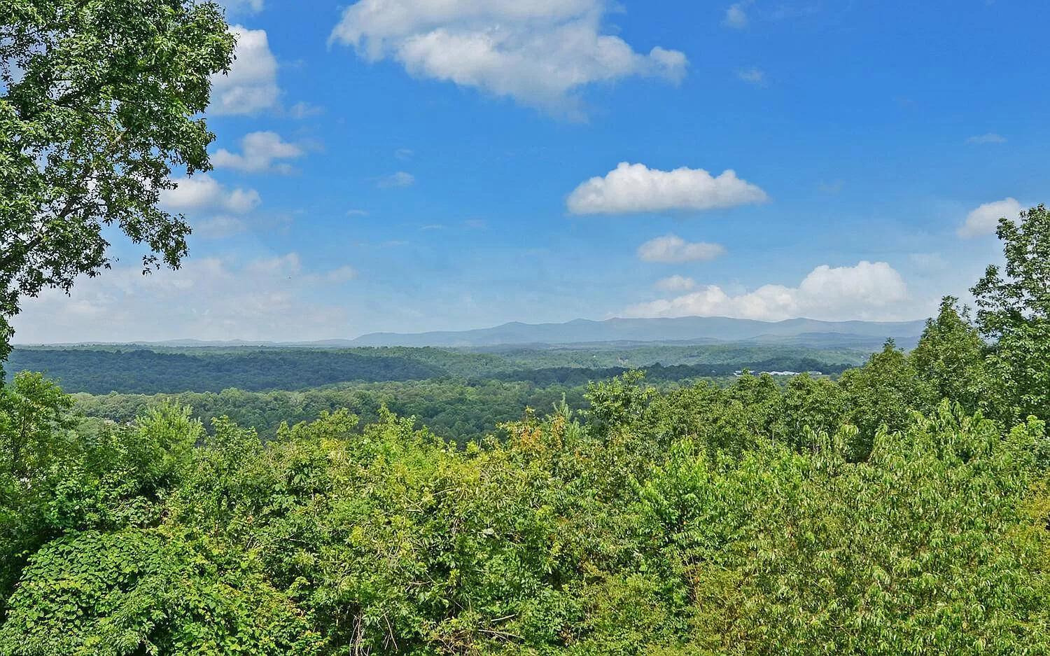 Birds Eye Cabin - Sunset & Starry Retreat Pet Friendly W Private Hottub, Fire Pit And Game Room Ellijay Εξωτερικό φωτογραφία